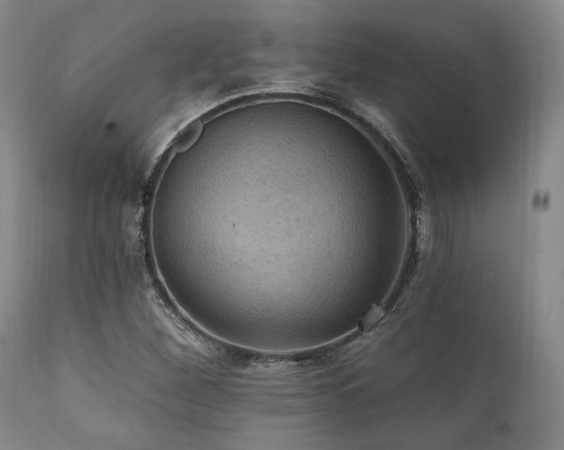 X0000112031260200908031427
