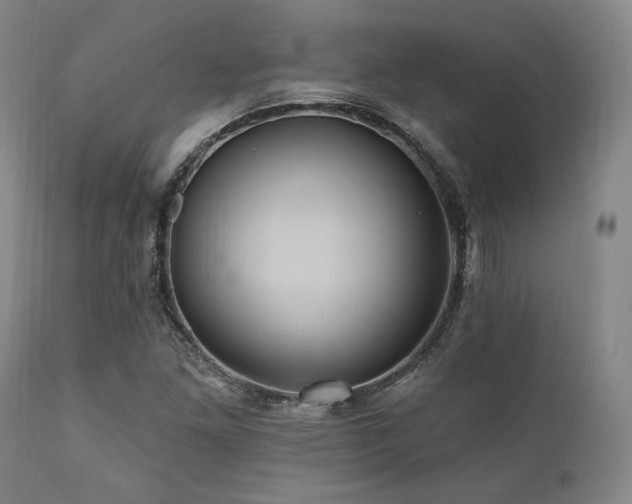 X0000112031261200908031427