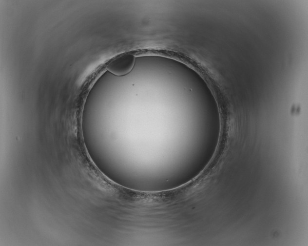 X0000112031262200908031427