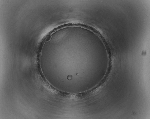 X0000112031263200908031427