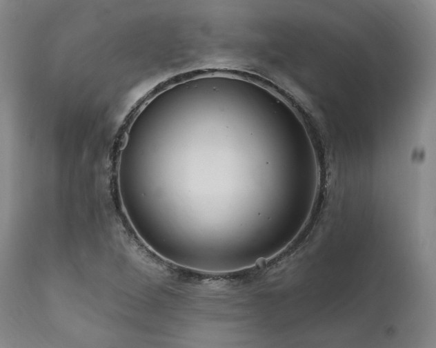 X0000112031264200908031427