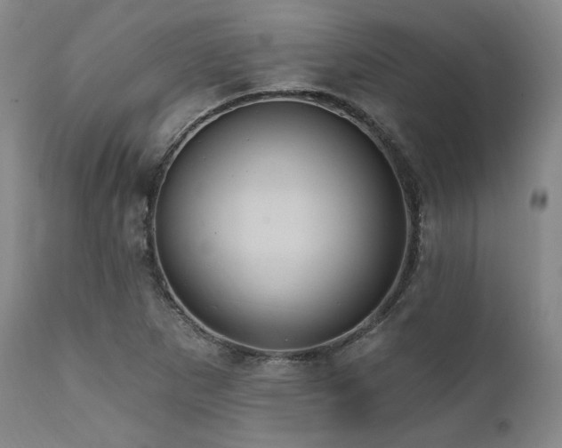 X0000112031265200908031427