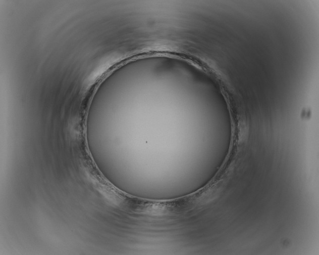 X0000112031266200908031427