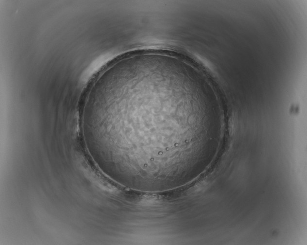 X0000112031267200908031427