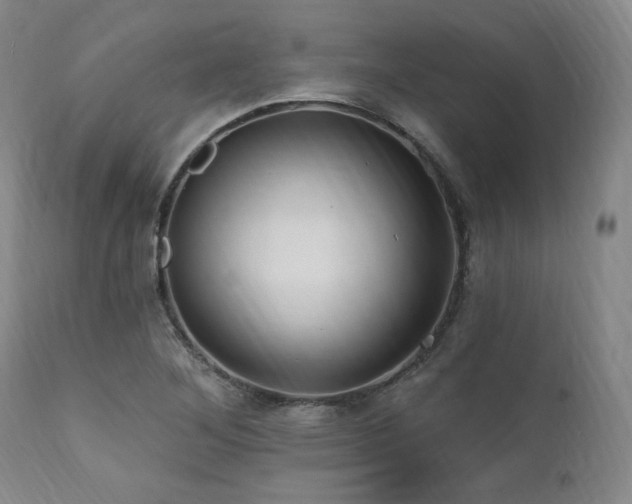X0000112031268200908031427