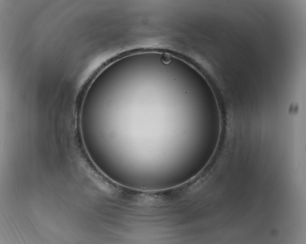 X0000112031270200908031427