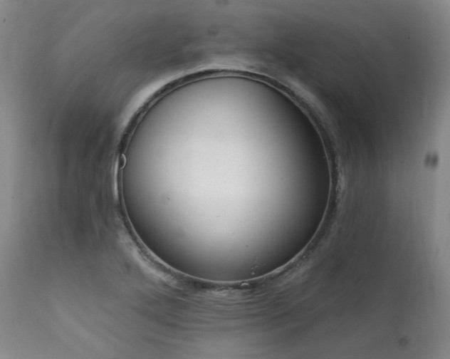X0000112031272200908031427