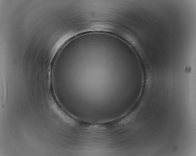 X0000112031275200908031427