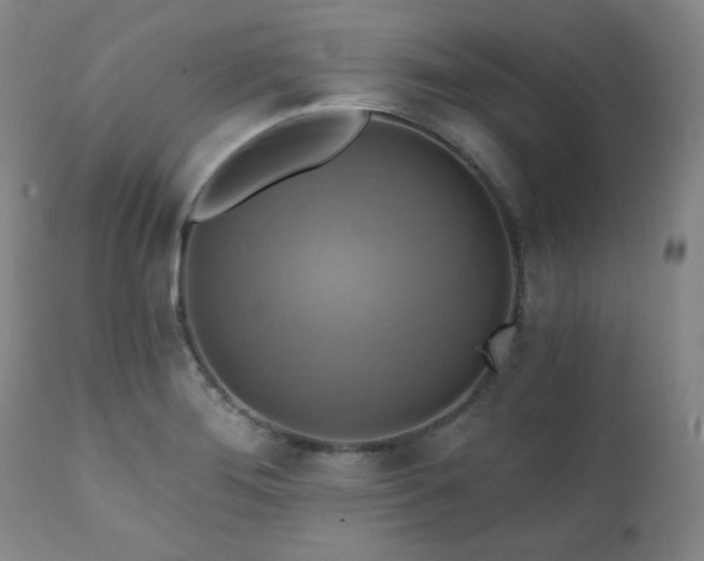 X0000112031276200908031427