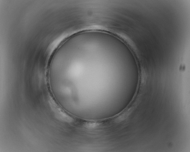 X0000112031278200908031427