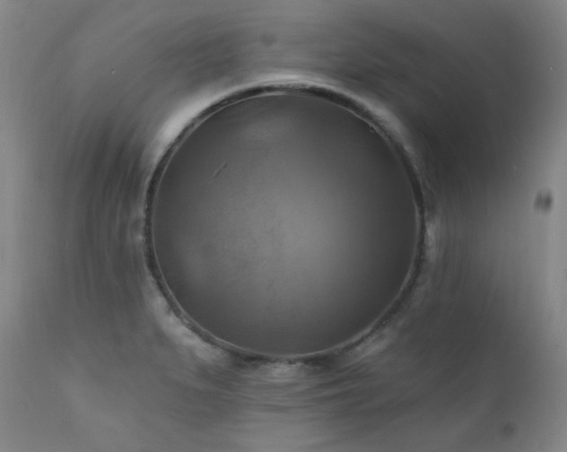 X0000112031279200908031427