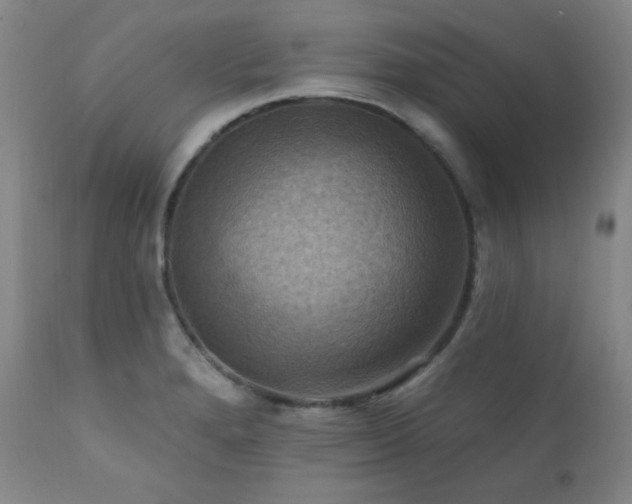 X0000112031280200908031427