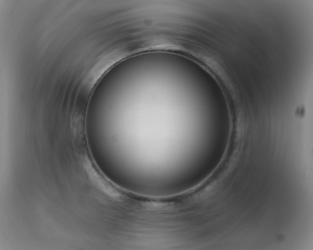 X0000112031281200908031427