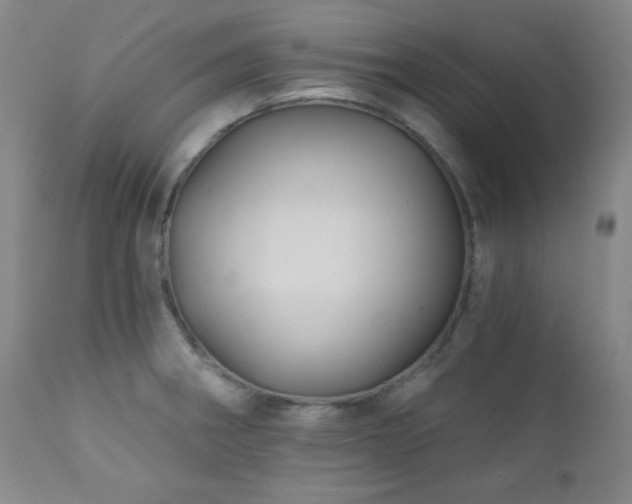 X0000112031282200908031427