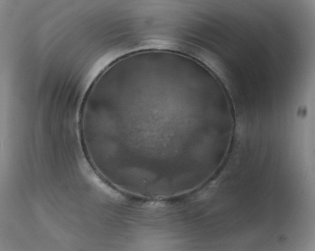 X0000112031283200908031427