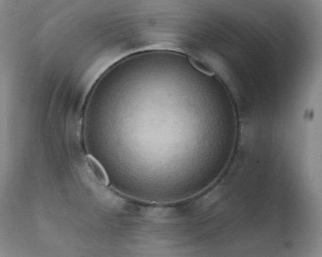 X0000112031284200908031427