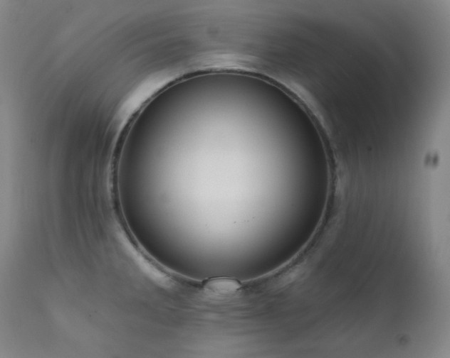 X0000112031285200908031427