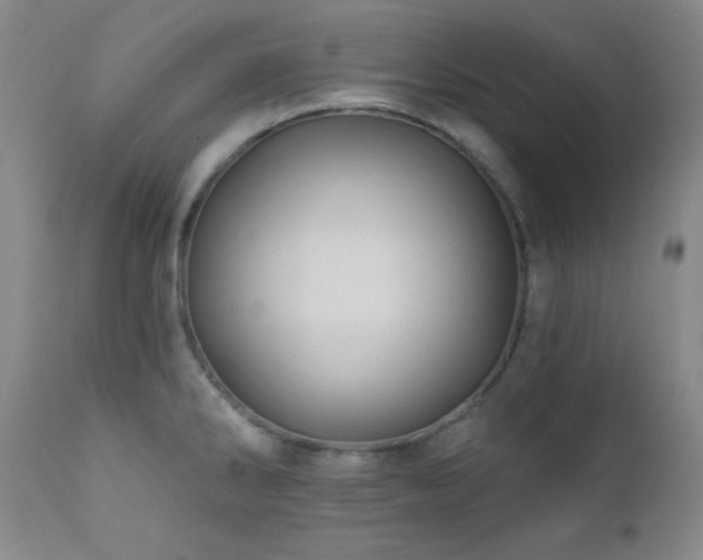 X0000112031286200908031427