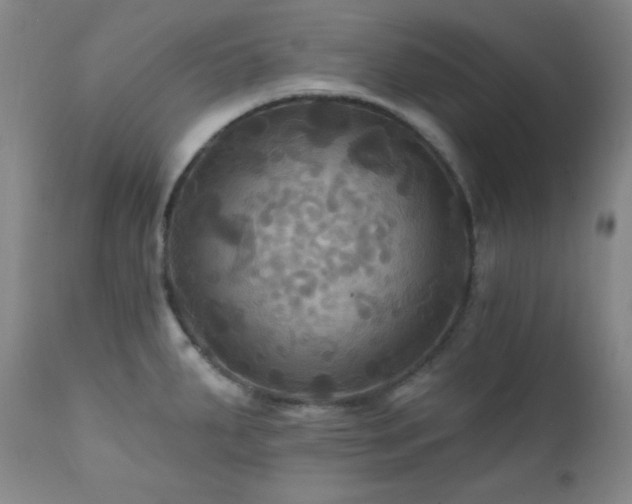 X0000112031287200908031427