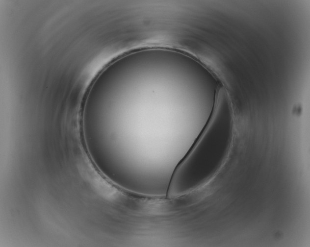 X0000112031288200908031427