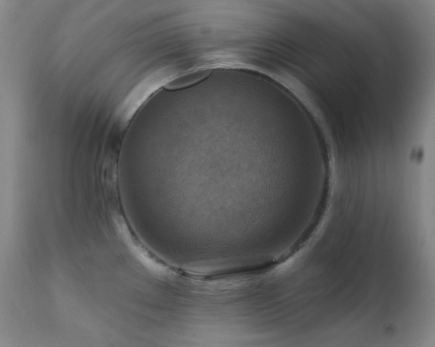 X0000112031289200908031427