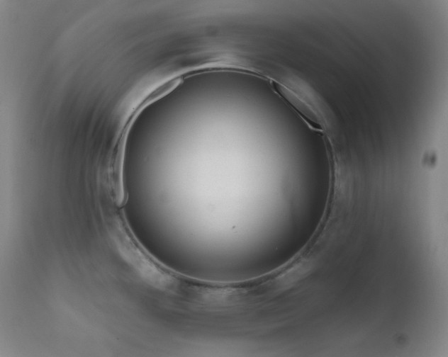 X0000112031292200908031427