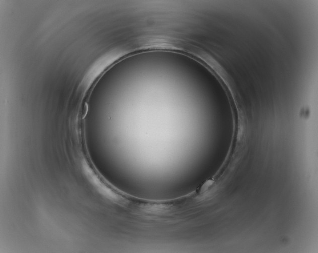 X0000112031293200908031427