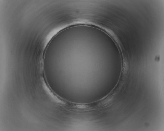X0000112031295200908031427