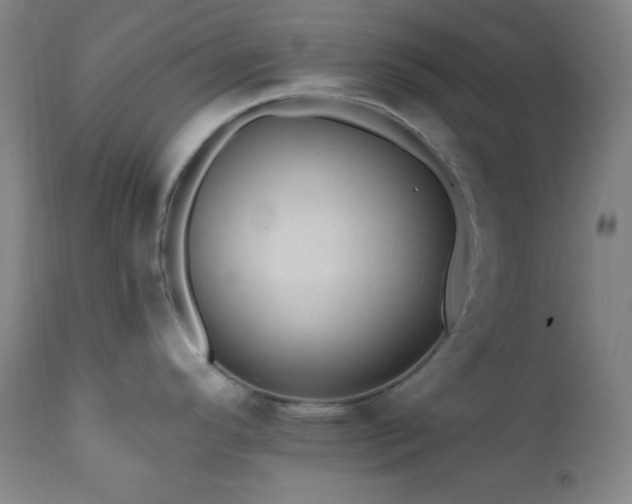 X0000112031296200908031427