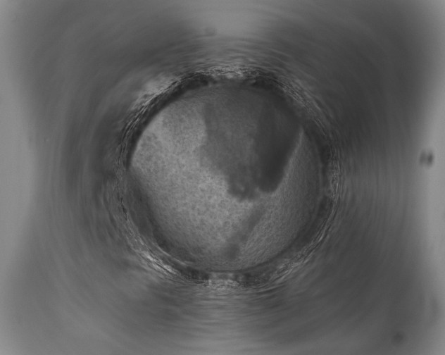 X0000112031297200908031426