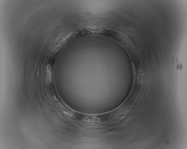 X0000112031298200908031426