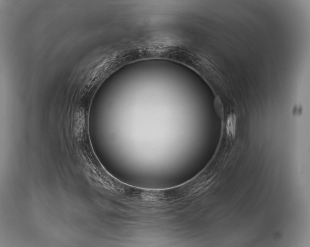 X0000112031299200908031426