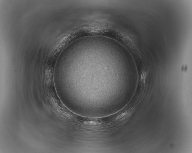 X0000112031300200908031426