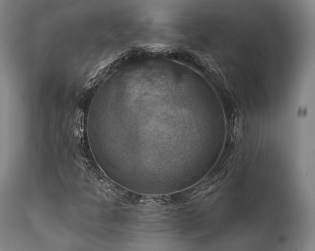 X0000112031301200908031426
