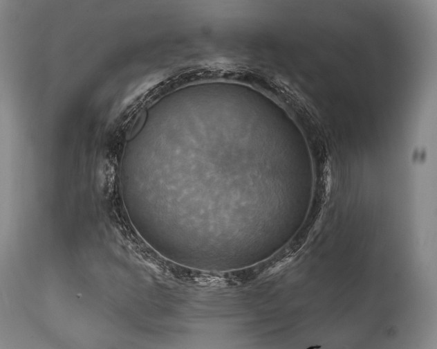 X0000112031302200908031426