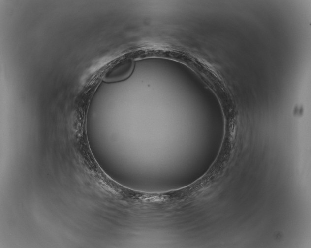 X0000112031303200908031426