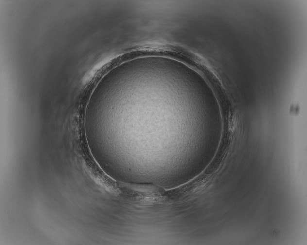 X0000112031304200908031426