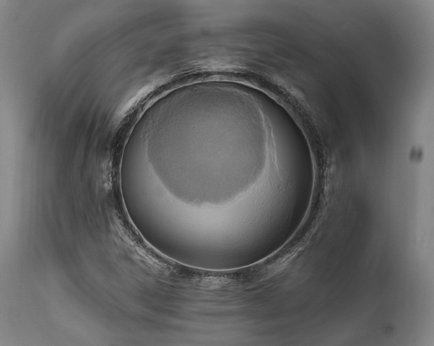 X0000112031306200908031426