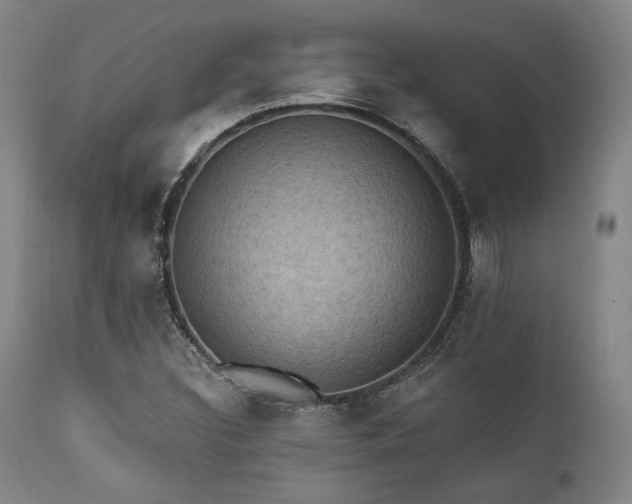 X0000112031308200908031426