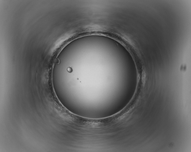 X0000112031309200908031426
