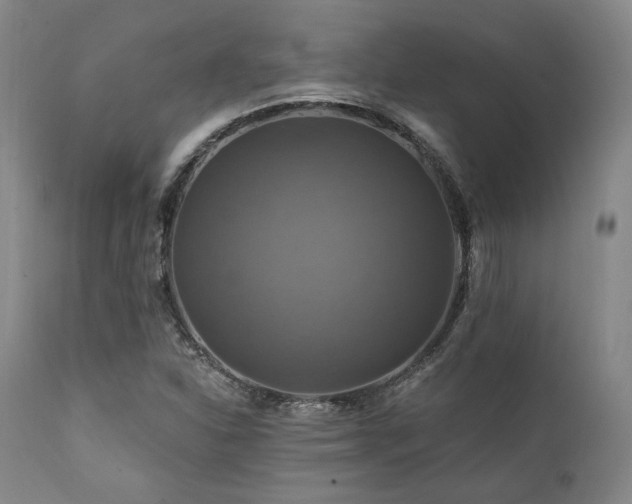X0000112031310200908031426