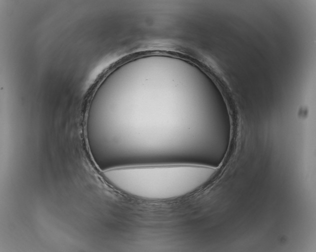X0000112031312200908031427