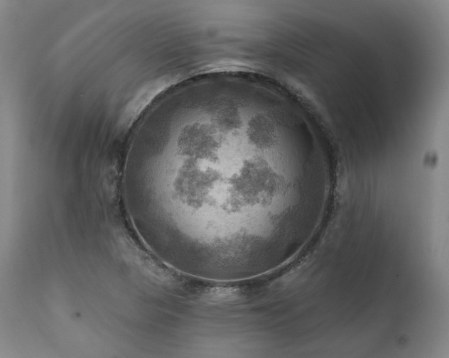 X0000112031313200908031427
