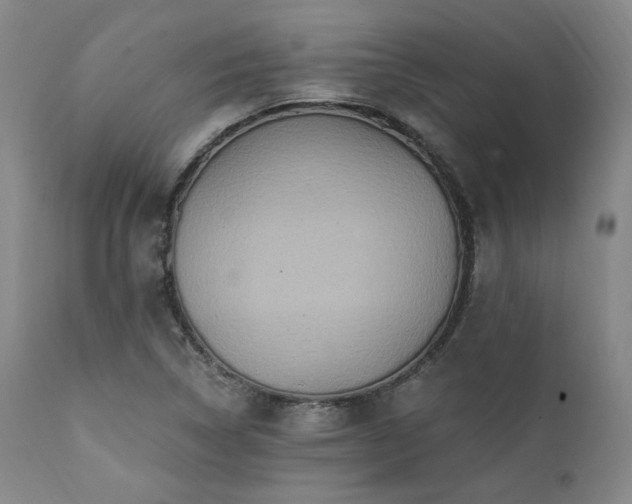 X0000112031314200908031427
