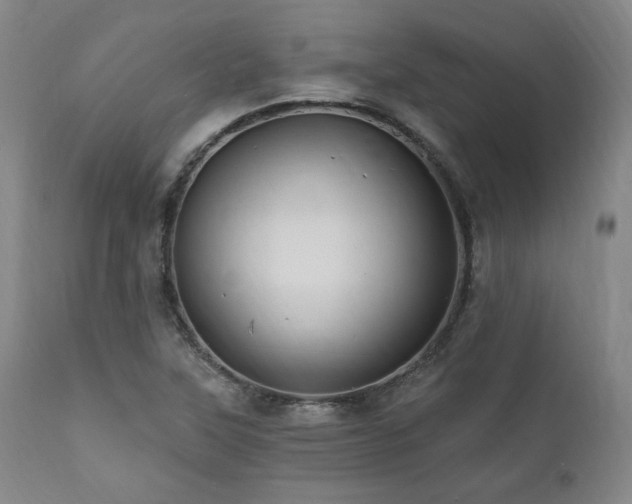 X0000112031315200908031427