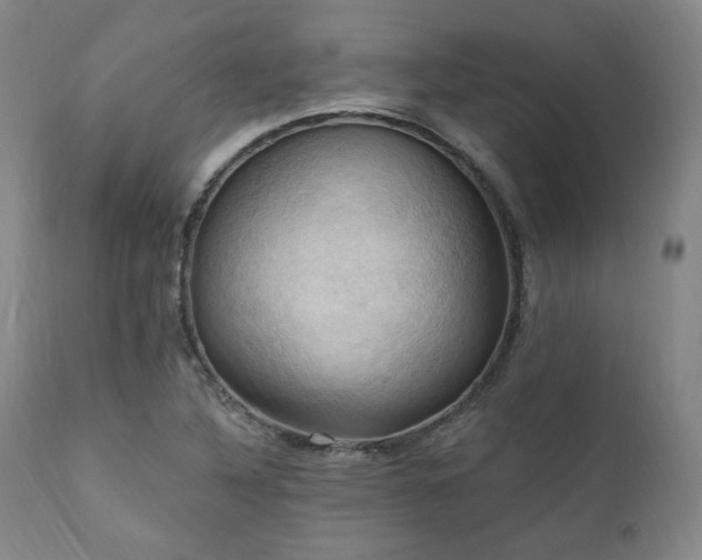 X0000112031316200908031427