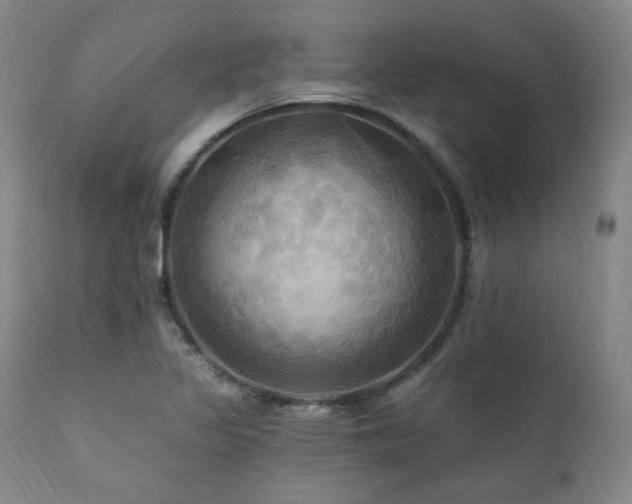 X0000112031317200908031427