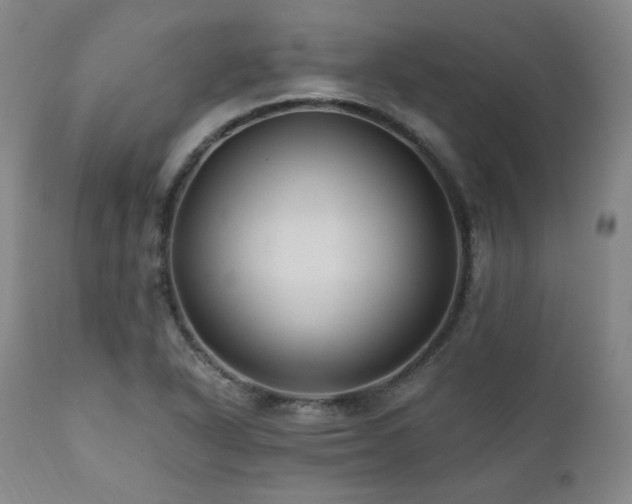 X0000112031318200908031427