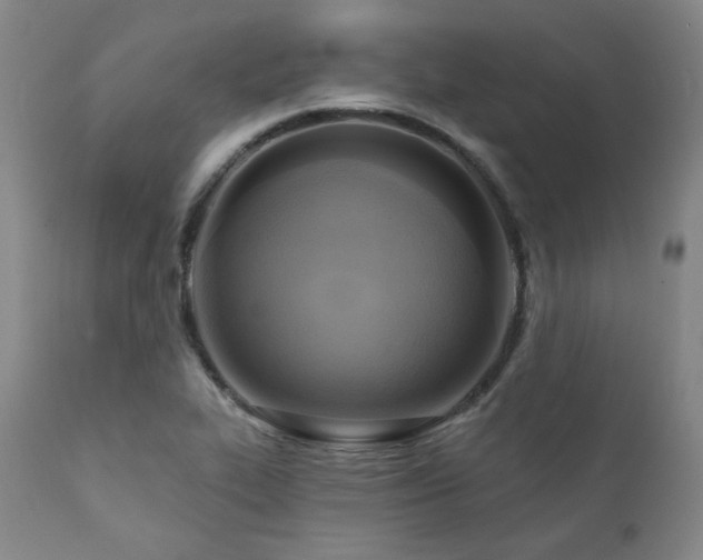 X0000112031319200908031427