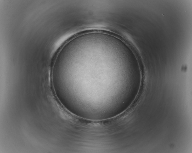 X0000112031320200908031427
